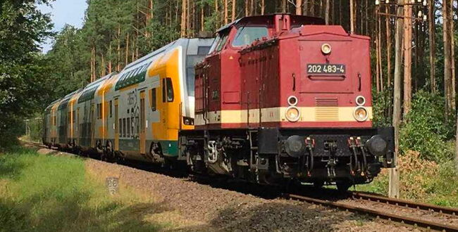 Eine WFL Diesellok bei der Überführung eines Doppelstockzuges. Der Zug fährt durch märkische Fichtenwald Landschaft.